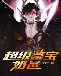 超级鉴宝奶爸小说人物分析